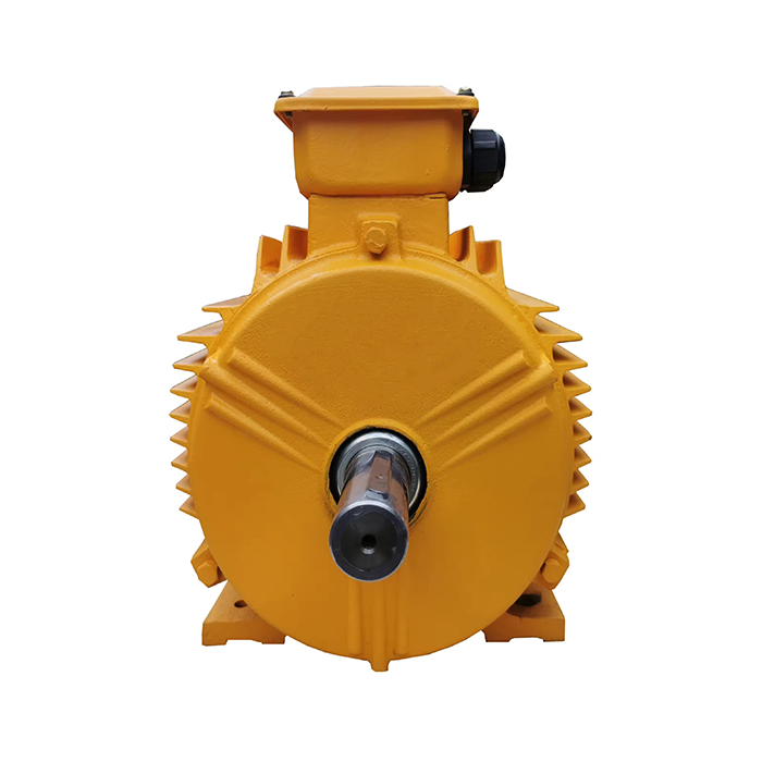 Z Series Medium DC Motor Z Series Medium DC Motor
