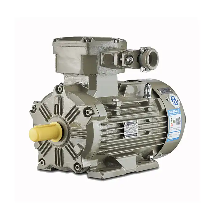 Explosion proof AC motor