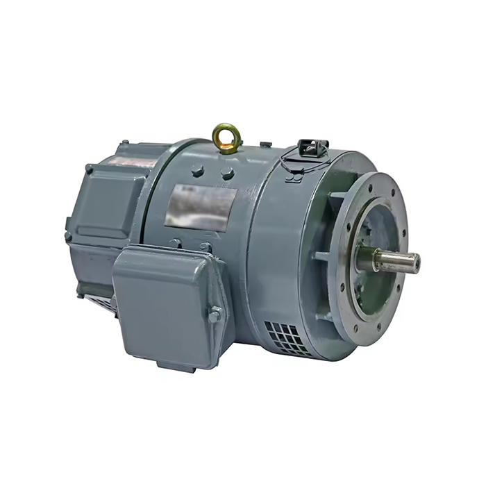  Z Series Medium DC Motor