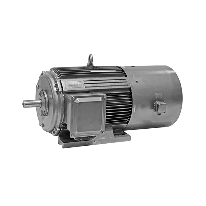 Z Series Medium DC Motor Z Series Medium DC Motor