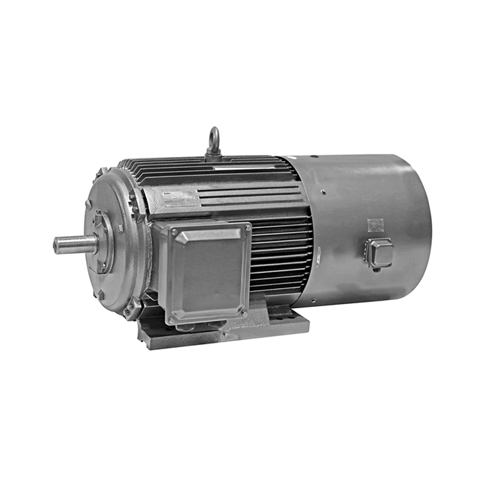 Z Series Medium DC Motor Z Series Medium DC Motor