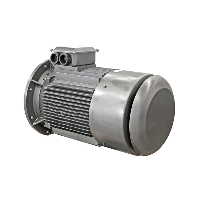 iec lv motors